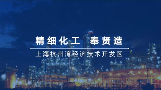 SLTA组织会员单位考察上海化学工业区奉贤分区