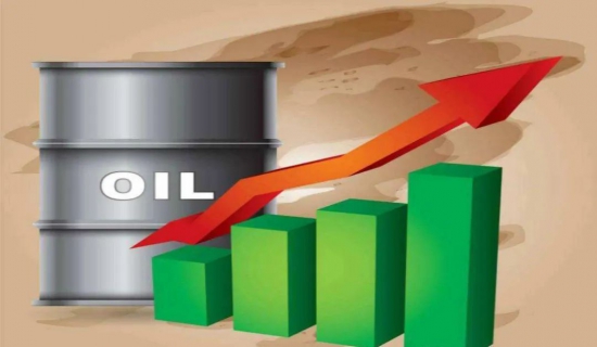 基础油价格大多继续上涨